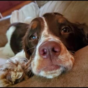 Meet your Posher, Holly